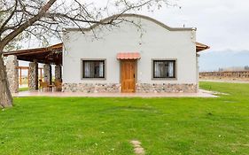 Calivista Vineyard